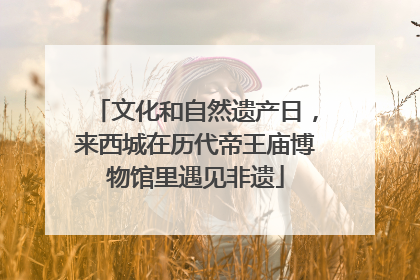 文化和自然遗产日,来西城在历代帝王庙博物馆里遇见非遗