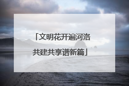 文明花开遍河洛 共建共享谱新篇