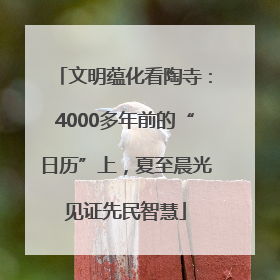 文明蕴化看陶寺：4000多年前的“日历”上，夏至晨光见证先民智慧