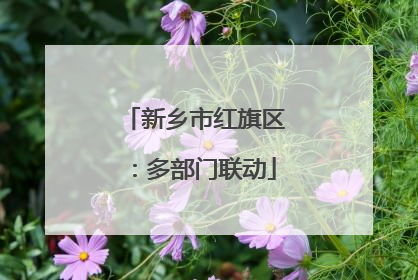 新乡市红旗区：多部门联动