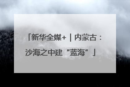 新华全媒+｜内蒙古：沙海之中建“蓝海”