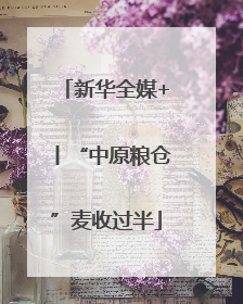 新华全媒+丨“中原粮仓”麦收过半