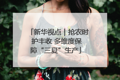 新华视点｜抢农时 护丰收 多维度保障“三夏”生产
