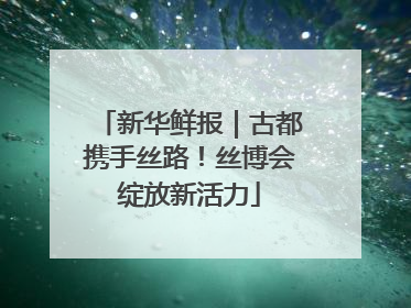 新华鲜报｜古都携手丝路！丝博会绽放新活力