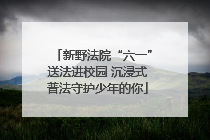 新野法院“六一”送法进校园 沉浸式普法守护少年的你
