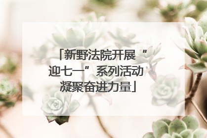 新野法院开展“迎七一”系列活动 凝聚奋进力量