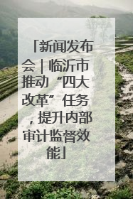 新闻发布会｜临沂市推动“四大改革”任务，提升内部审计监督效能
