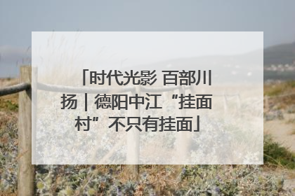 时代光影 百部川扬｜德阳中江“挂面村”不只有挂面