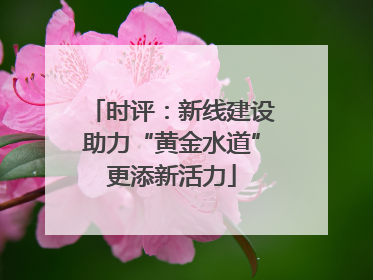 时评：新线建设助力“黄金水道”更添新活力