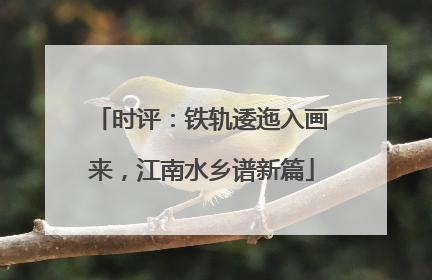 时评：铁轨逶迤入画来，江南水乡谱新篇