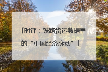 时评：铁路货运数据里的“中国经济脉动”
