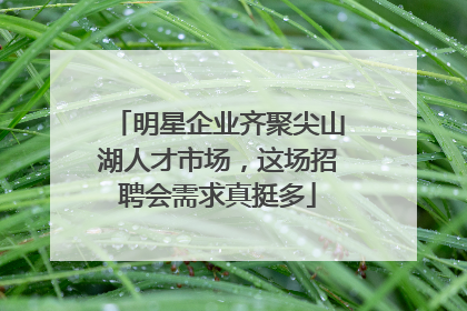明星企业齐聚尖山湖人才市场，这场招聘会需求真挺多