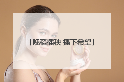 晚稻插秧 播下希望