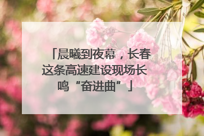 晨曦到夜幕，长春这条高速建设现场长鸣“奋进曲”