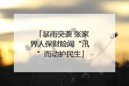 暴雨突袭 张家界人保财险闻“汛”而动护民生