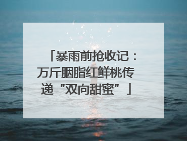 暴雨前抢收记：万斤胭脂红鲜桃传递“双向甜蜜”
