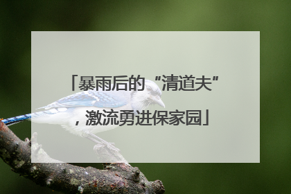 暴雨后的“清道夫”，激流勇进保家园