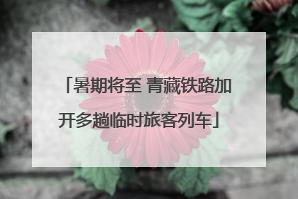 暑期将至 青藏铁路加开多趟临时旅客列车