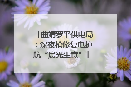 曲靖罗平供电局：深夜抢修复电护航“晨光生意”