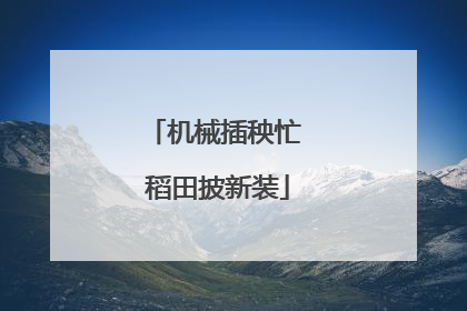 机械插秧忙 稻田披新装