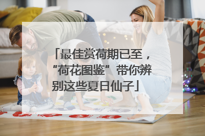 最佳赏荷期已至，“荷花图鉴”带你辨别这些夏日仙子