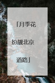 月季花扮靓北京道路