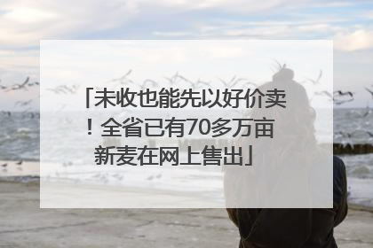 未收也能先以好价卖！全省已有70多万亩新麦在网上售出