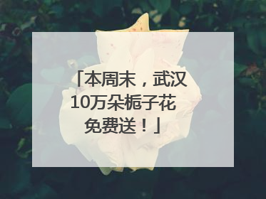 本周末，武汉10万朵栀子花免费送！