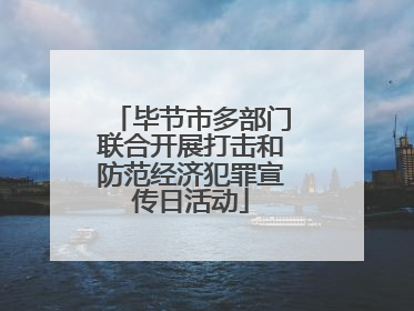 毕节市多部门联合开展打击和防范经济犯罪宣传日活动