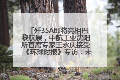 歼35A即将亮相巴黎航展，中航工业沈阳所首席专家王永庆接受《环球时报》专访：未来数量可以有很多