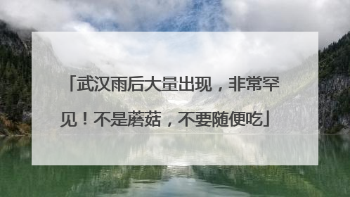 武汉雨后大量出现，非常罕见！不是蘑菇，不要随便吃