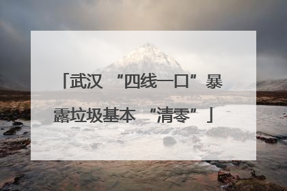 武汉 “四线一口”暴露垃圾基本 “清零”