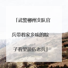 武警郴州支队官兵带着家乡味的粽子看望退伍老兵