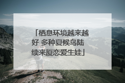栖息环境越来越好 多种夏候鸟陆续来厦恋爱生娃