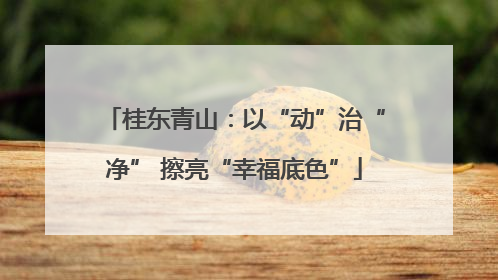 桂东青山：以“动”治“净” 擦亮“幸福底色”