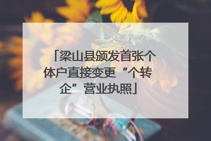 梁山县颁发首张个体户直接变更“个转企”营业执照