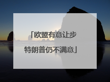 欧盟有意让步 特朗普仍不满意