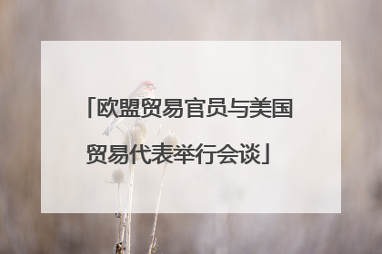 欧盟贸易官员与美国贸易代表举行会谈