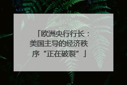 欧洲央行行长：美国主导的经济秩序“正在破裂”