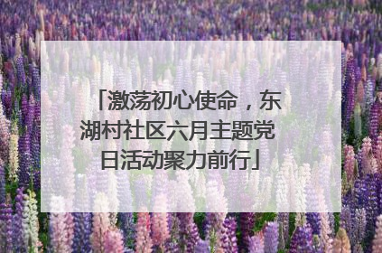 激荡初心使命，东湖村社区六月主题党日活动聚力前行