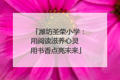 潍坊圣荣小学：用阅读滋养心灵 用书香点亮未来