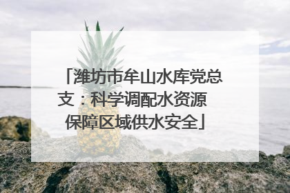 潍坊市牟山水库党总支：科学调配水资源 保障区域供水安全