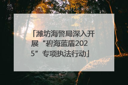 潍坊海警局深入开展“碧海蓝盾2025”专项执法行动