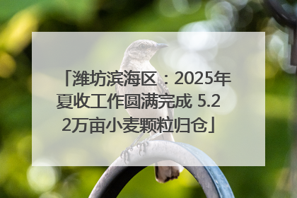 潍坊滨海区：2025年夏收工作圆满完成 5.22万亩小麦颗粒归仓