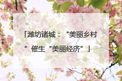 潍坊诸城：“美丽乡村”催生“美丽经济”
