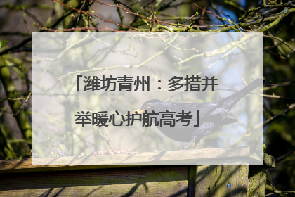潍坊青州：多措并举暖心护航高考