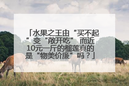 水果之王由“买不起”变“敞开吃” 而近10元一斤的榴莲真的是“物美价廉”吗？