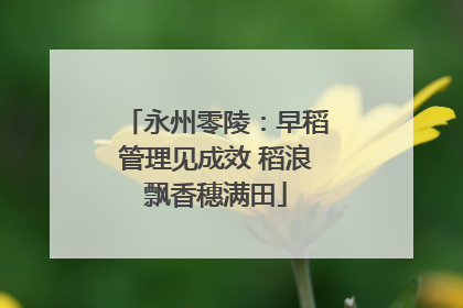 永州零陵：早稻管理见成效 稻浪飘香穗满田