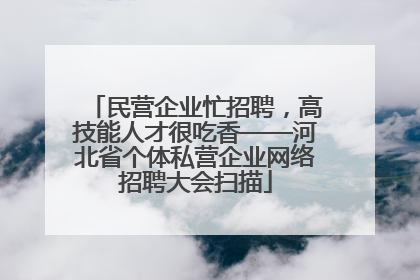 民营企业忙招聘，高技能人才很吃香——河北省个体私营企业网络招聘大会扫描