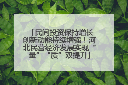 民间投资保持增长 创新动能持续增强！河北民营经济发展实现“量”“质”双提升
